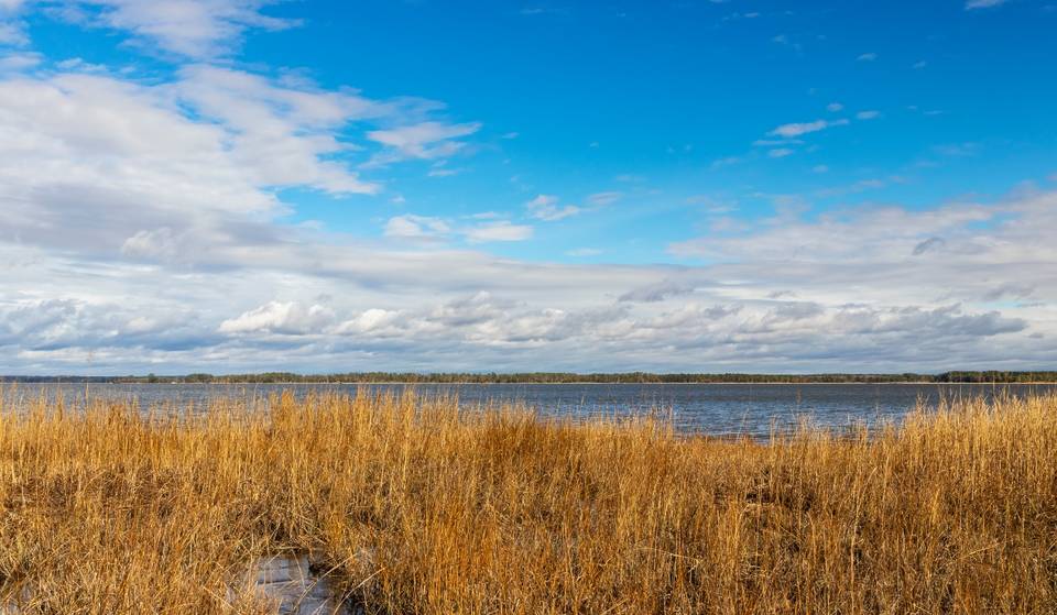 The #3 County To Live In The Country Is Just A Few Hours From D.C. &#8212; &#038; It&#8217;s Right Next To The Pancake Capital Of The World