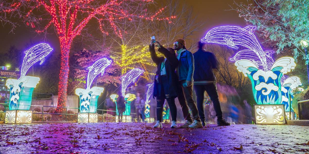 Smithsonian's National Zoo ZooLights