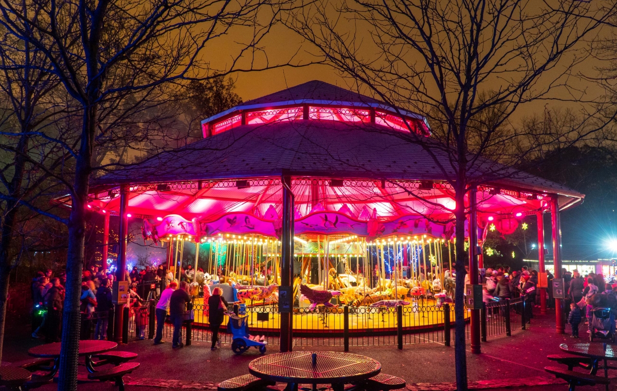 zoolights carousel