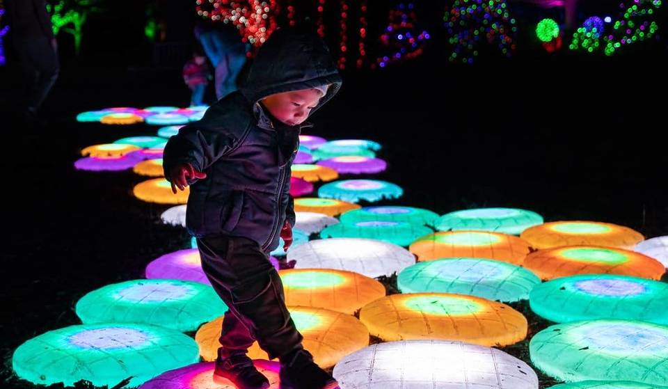 These Iconic Botanical Gardens Just 30 Minutes Away Are Hosting A Festive Winter Walk Featuring Thousands Of Lights – Over 100,000 People Are Expected To Attend
