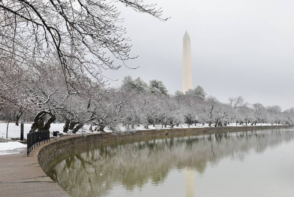 tidal basin winter