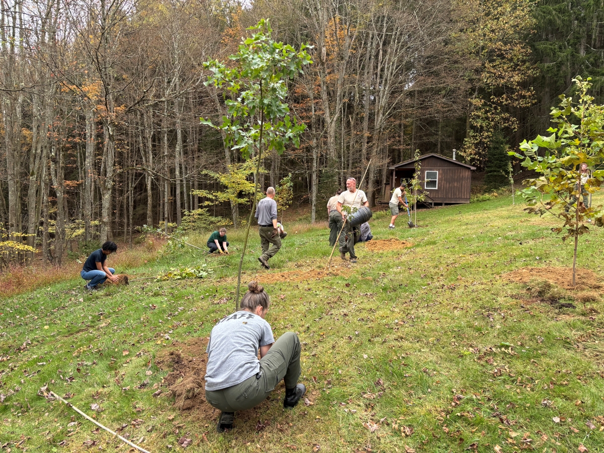 Savage Highlands State Park restoration