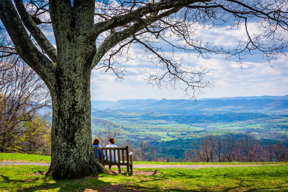 skyline drive - dickey ridge visitor center