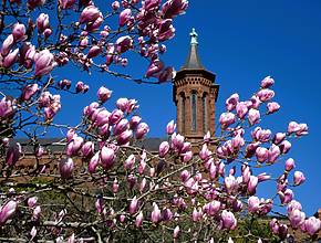 Washingtonians have just over eight weeks left to explore the Smithsonian Castle before it closes again at the end of this Summer