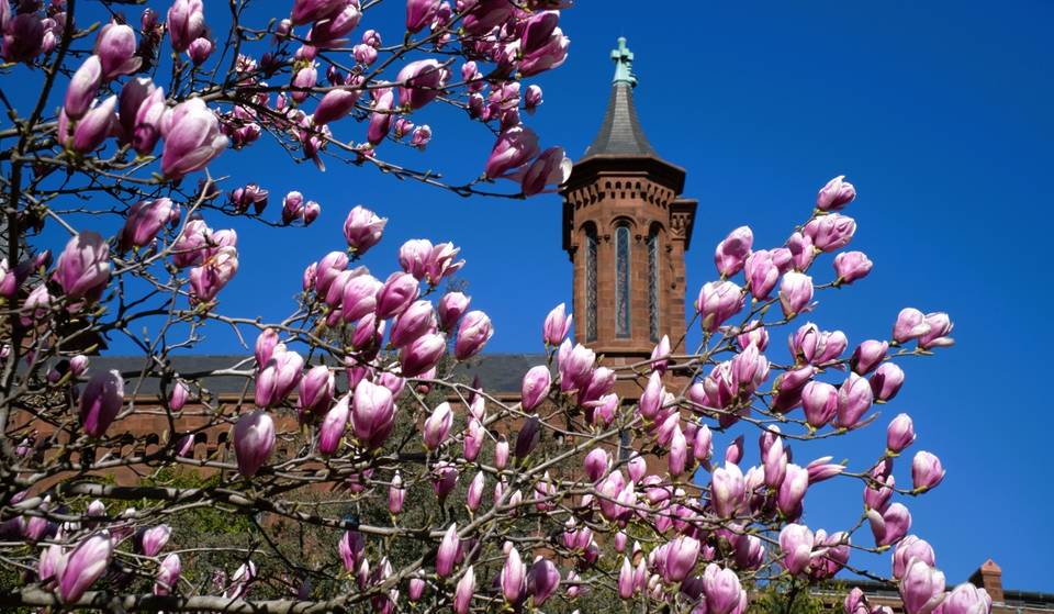 Washingtonians have just over eight weeks left to explore the Smithsonian Castle before it closes again at the end of this Summer
