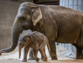 9 Exciting Things To Do Around Washington, D.C. This Week (April 20th – 24th)