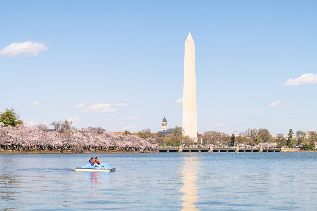 The 2nd Annual Stumpy’s Petal &amp; Paddles Race Is Set To Take Over The Tidal Basin On Thursday – Here’s How To Register To Participate In Tomorrow’s Race
