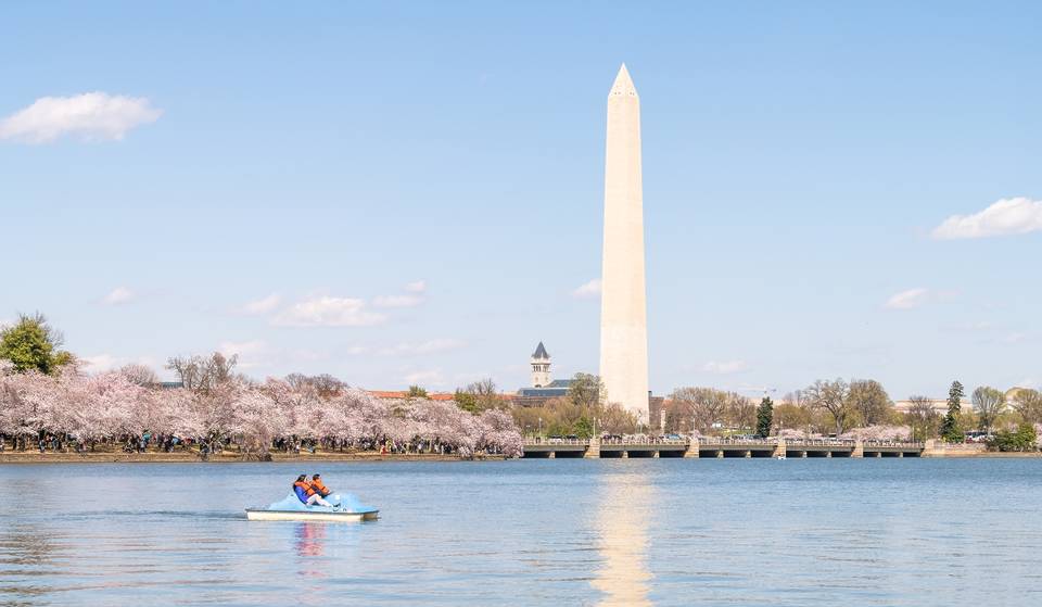 The 2nd Annual Stumpy’s Petal &amp; Paddles Race Is Set To Take Over The Tidal Basin On Thursday – Here’s How To Register To Participate In Tomorrow’s Race