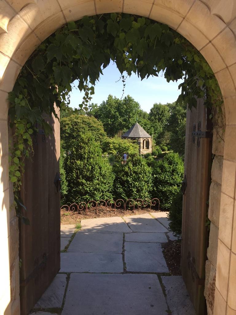 national cathedral bishops garden wisteria