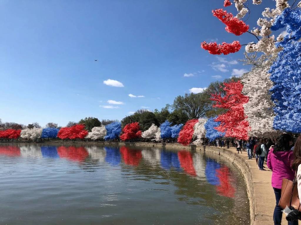 tidal basin cherry blossom memorial day