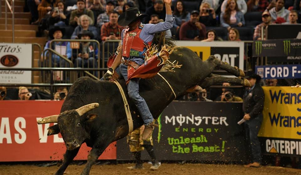 A real rodeo is coming to Northern Virginia this weekend — Bulls, barrel racing &amp; cowboy action just outside D.C.
