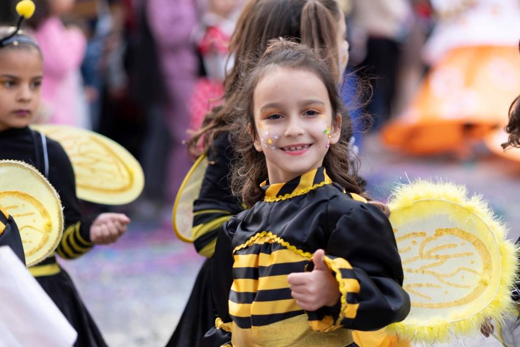 Manassas Bee Festival