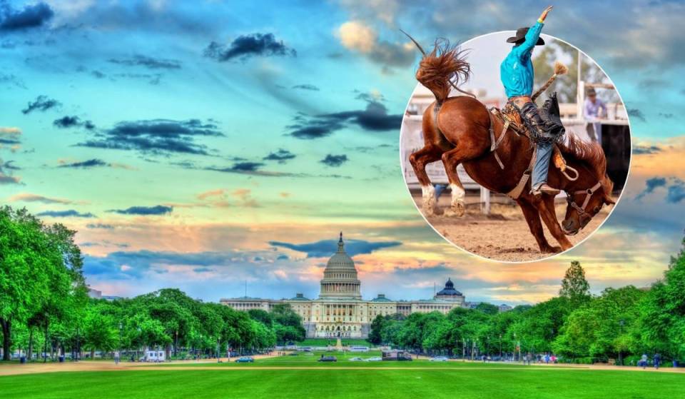 An authentic rodeo is coming to the National Mall this week to showcase the evolution of the American cowboy