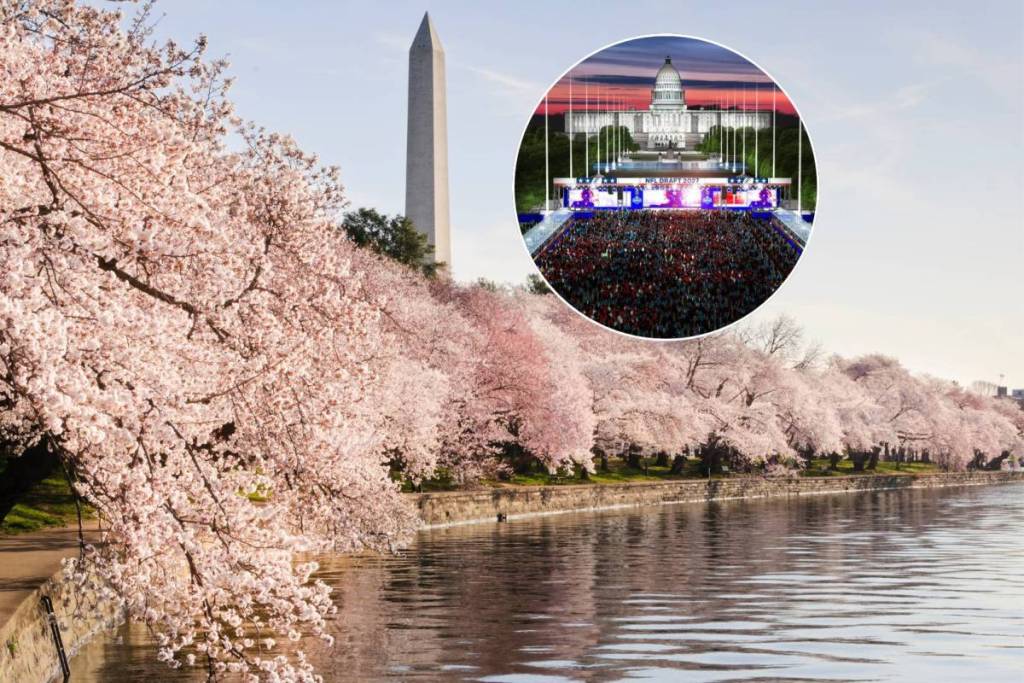 nlf draft washington dc