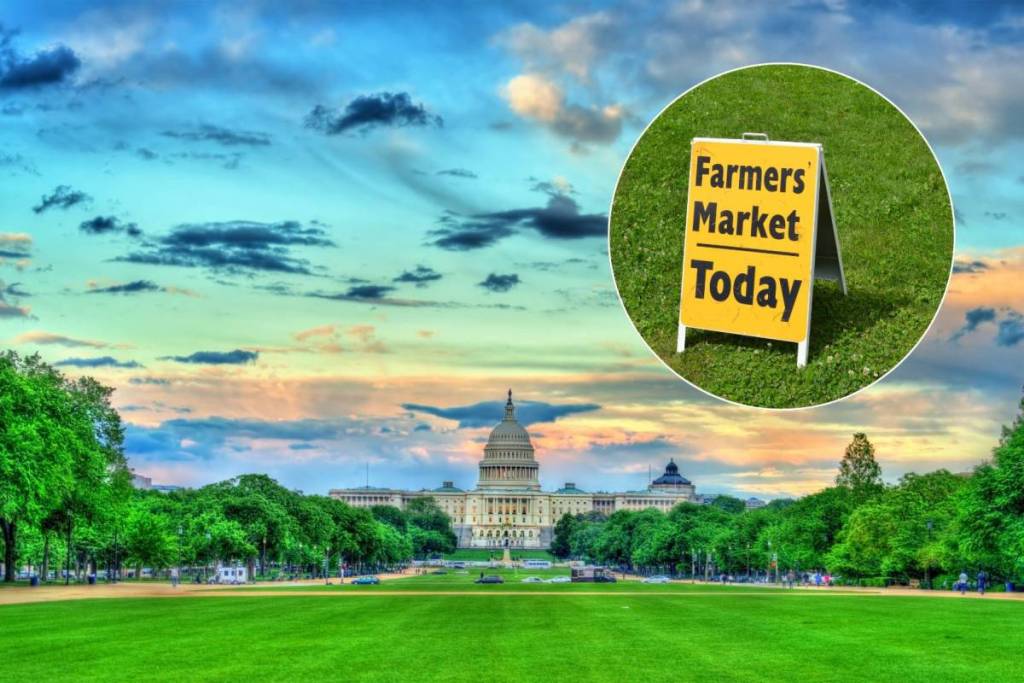 great american farmers market dc