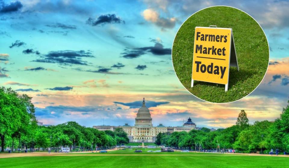 A massive ‘Great American Farmers Market’ with 80+ vendors is taking over the National Mall this week — Farmers, ranchers, &amp; artisanal food producers gather to tell America’s agricultural story