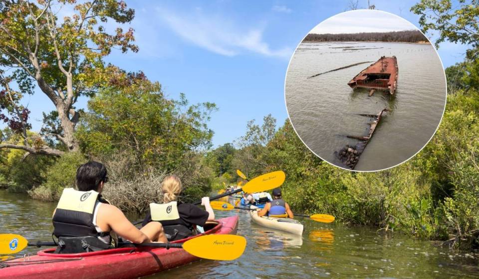 The Ghost Fleet of Mallows Bay is one of the DC area’s most unforgettable bucket-list adventures