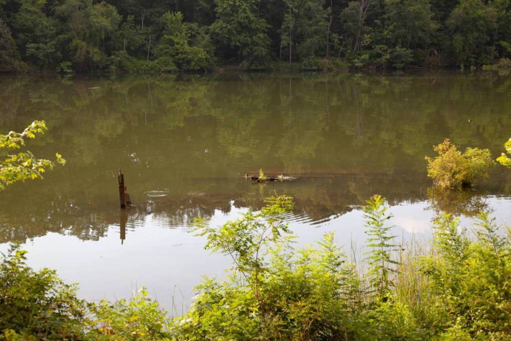 Mallows Bay ghost fleet