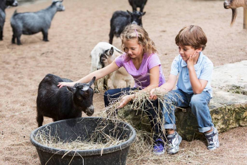 2026 Howard County Fair