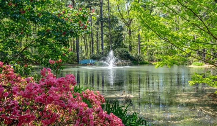 3 hours from D.C., a massive 26,000-sq. ft. conservatory is opening next month at Virginia’s largest botanical garden, featuring an elevated skywalk & several permanent Chihuly blown glass art installations