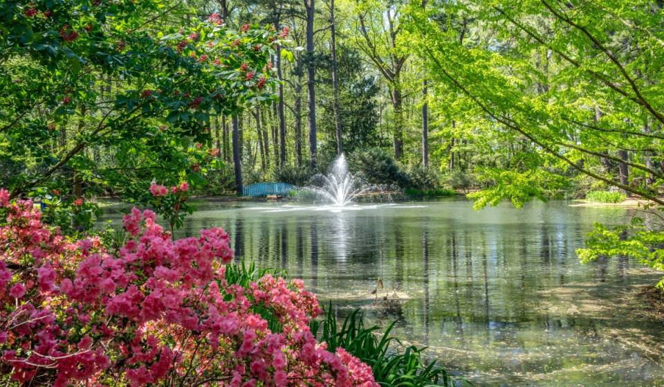 3 hours from D.C., a massive 26,000-sq. ft. conservatory is opening next month at Virginia’s largest botanical garden, featuring an elevated skywalk &amp; several permanent Chihuly blown glass art installations