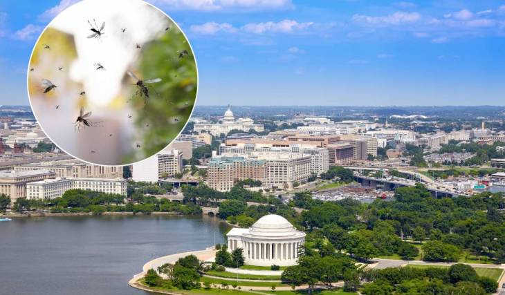 Washington, D.C. has been named the buggiest city in America