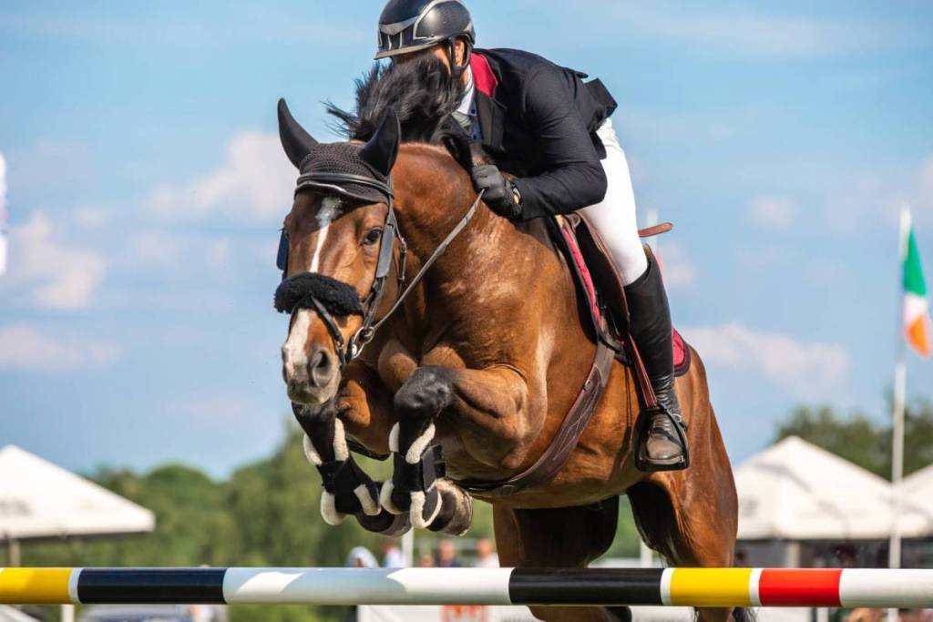 Northern Virginia steeplechase events