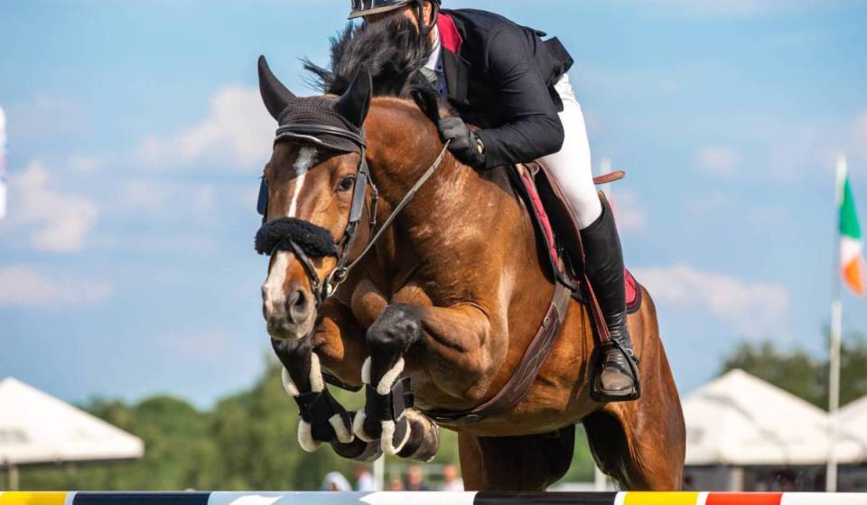 Four major Northern Virginia steeplechase events are coming to Washington, D.C. area this fall