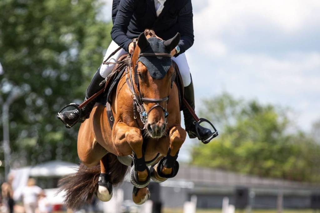 Foxfield Fall Races