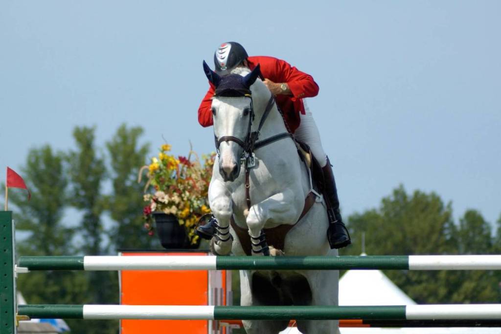 The Virginia Fall Races