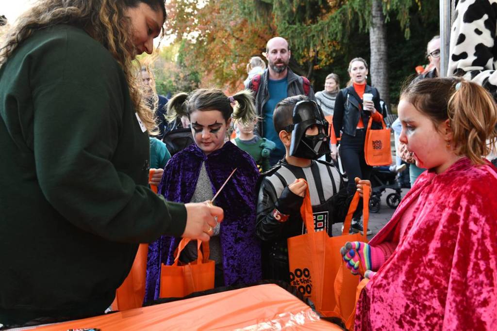 national zoo boo at the zoo