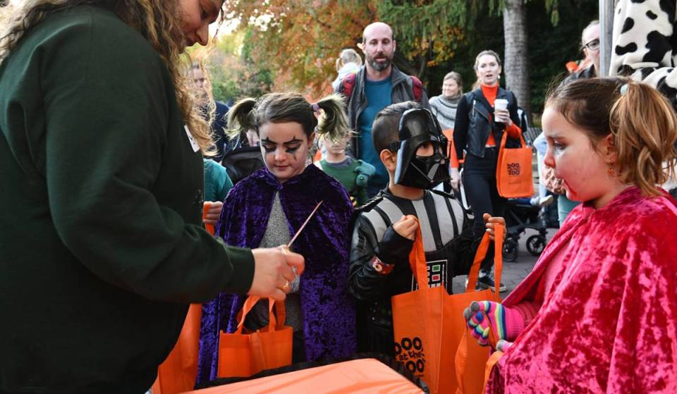 Tickets are now on sale for the National Zoo’s family-friendly Boo at the Zoo