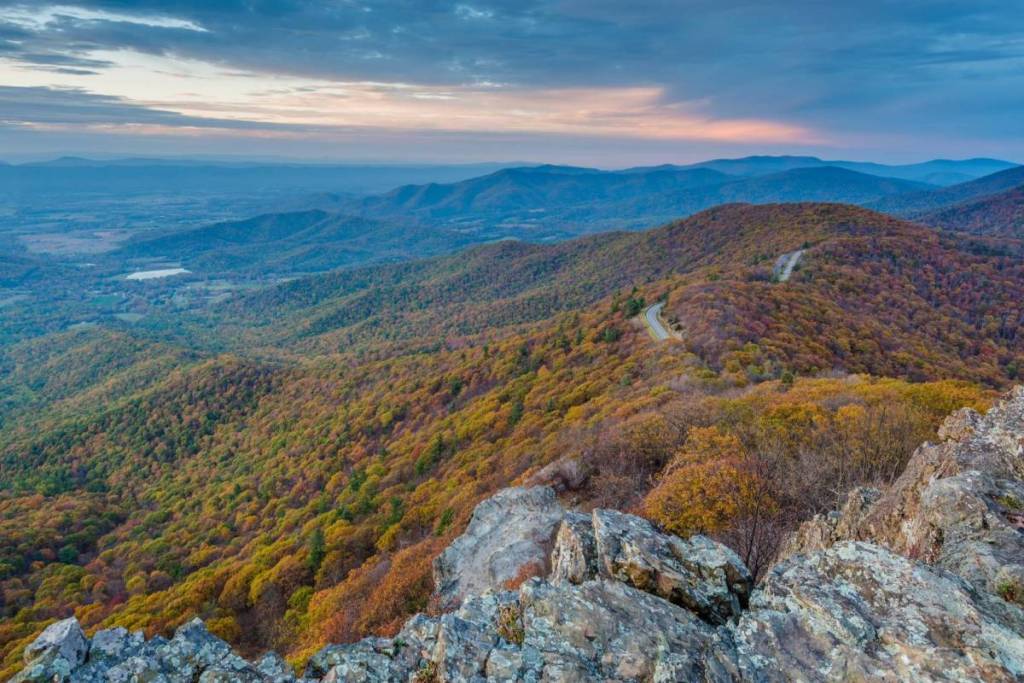 find your fall in virginia