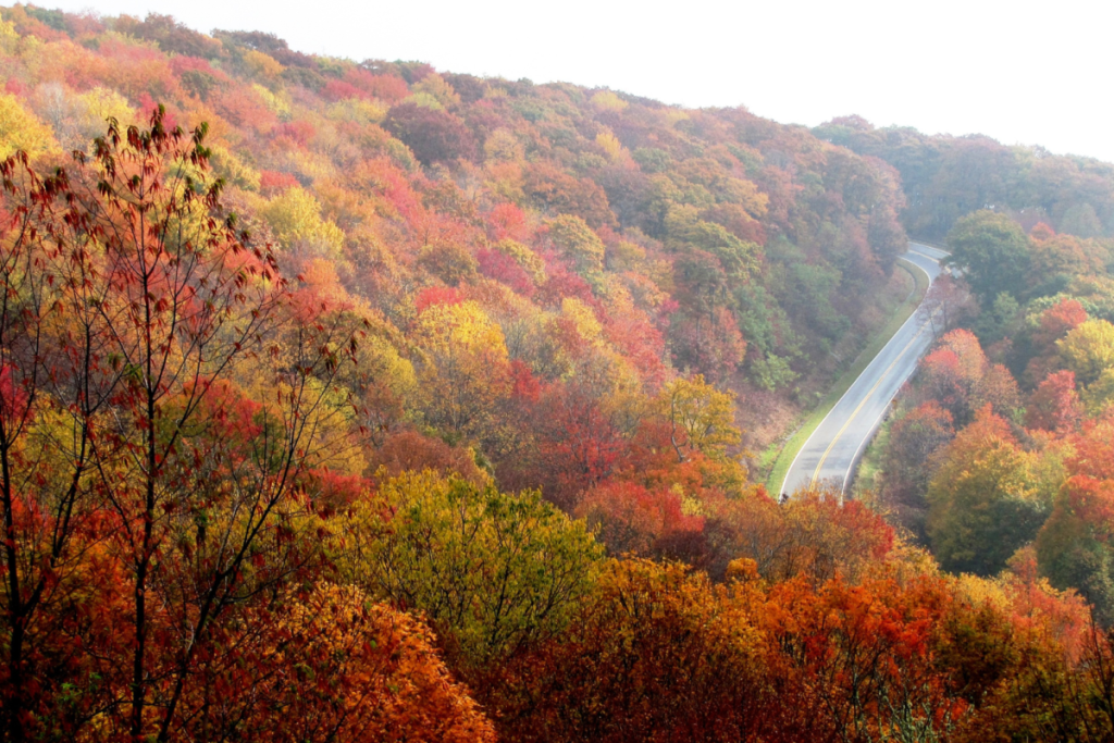 Back of the Dragon southwest virginia