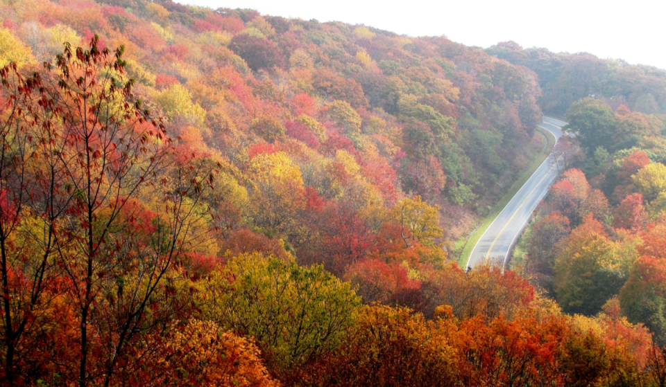 This stunning scenic mountain road called ‘Back of the Dragon’ in Southwest Virginia is one of the best ways to see fall foliage in the nation