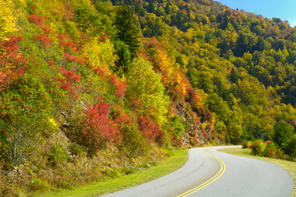 Back of the Dragon fall foliage scenic route