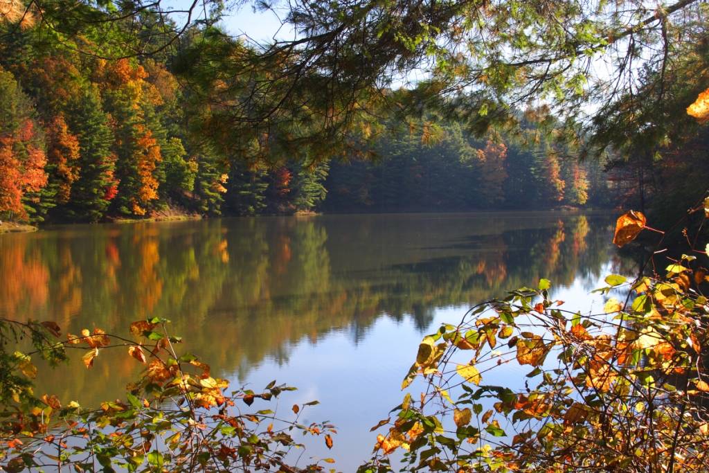 Watoga State Park
