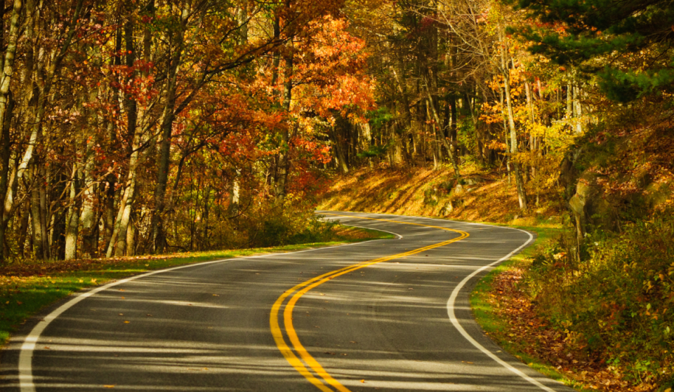This 105-mile scenic drive through Virginia is one of the best fall foliage road trips in the nation — ‘The experience of a lifetime’