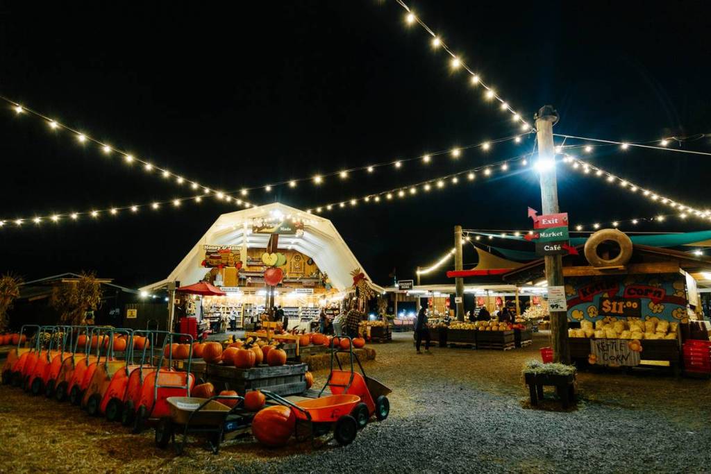 Cox Farms' Fields of Fear