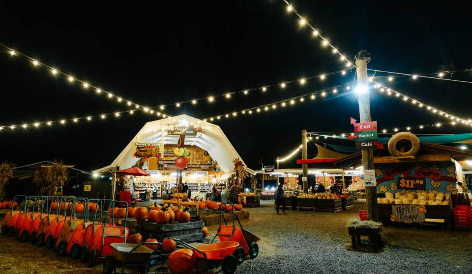 This massive Halloween event at a farm near D.C. returns Friday with 20+ acres of haunted trails, hayrides, bonfires, &amp; more!