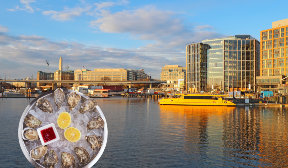 A new oyster festival is coming to Washington, D.C. this weekend featuring fresh oysters and ice-cold beer