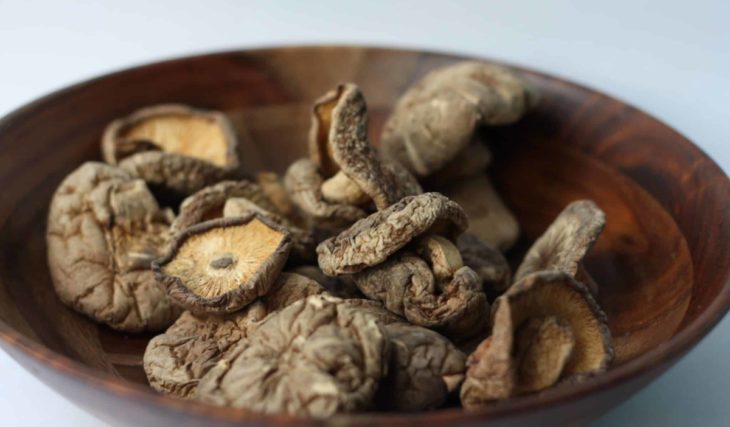 Magic Mushrooms And Other Psychedelics Are Now Legal In Colorado