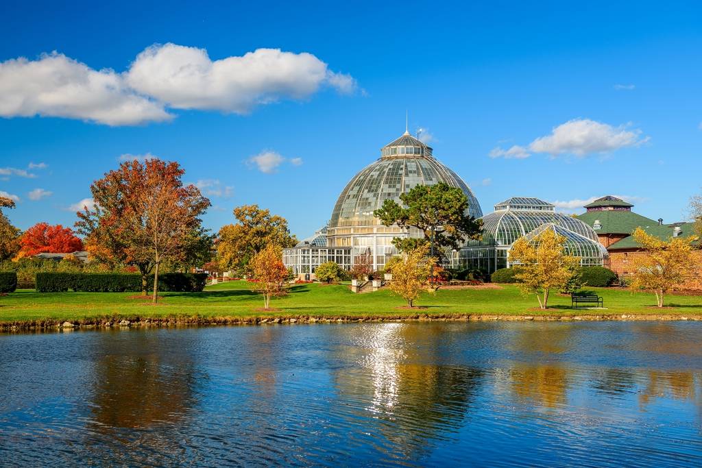 fall foliage around detroit