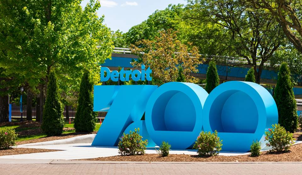 The Detroit Zoo Is Getting A New 7-Acre ‘Discovery Trail’ Complete With 10 New Animals, Interactive Experiences, &amp; More!