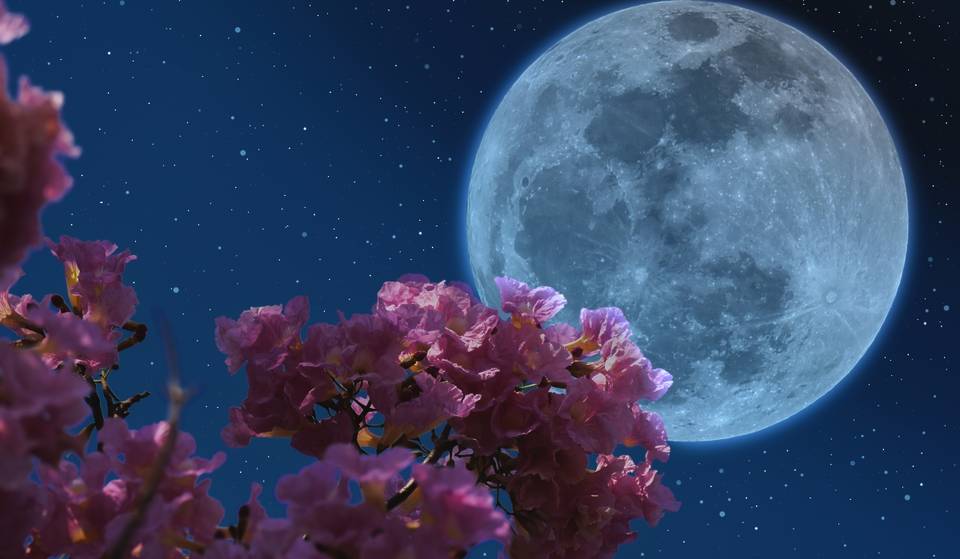 A Full ‘Pink’ Moon Will Be Lighting Up The Detroit Evening Sky With A Shimmering Glow Tomorrow Night
