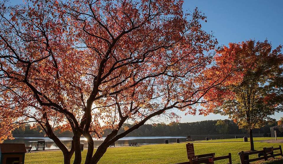 A Detroit suburb was just ranked the #7 best place to live in America for 2026