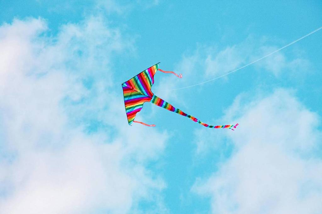 Lyon Township International Kite Festival 2026