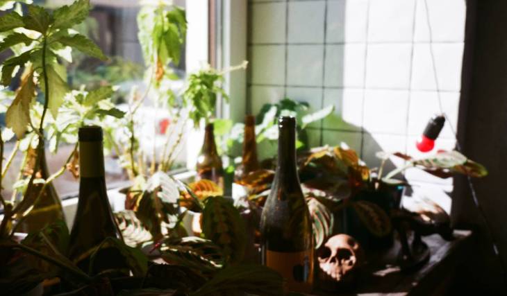 From tap walls and international DJs to 6-wine comedy flights: 6 Detroit wine bars that completely redefine your night out