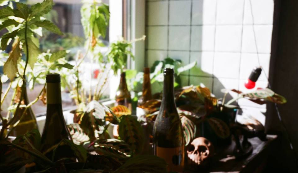 From tap walls and international DJs to 6-wine comedy flights: 6 Detroit wine bars that completely redefine your night out