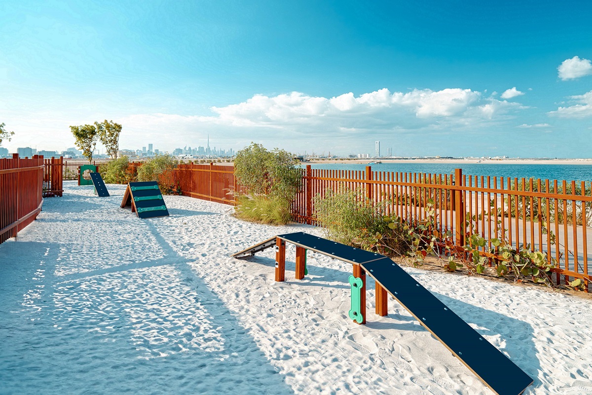 this-new-dog-park-in-dubai-allows-pets-to-run-leash-free